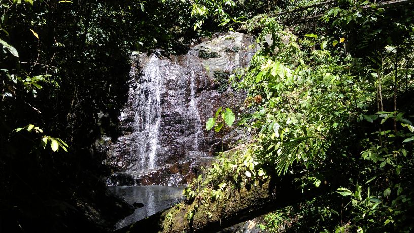 waterval in Danum Valley oerwoud in Sabah Borneo Maleisie